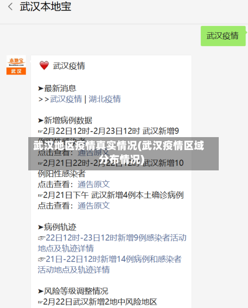 武汉地区疫情真实情况(武汉疫情区域分布情况)-第2张图片