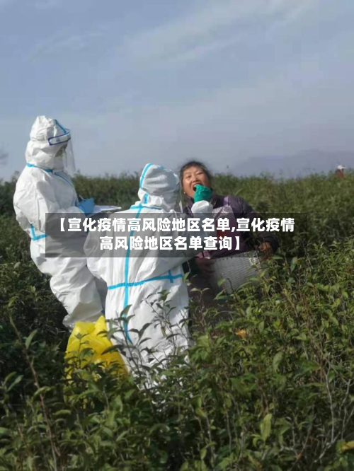 【宣化疫情高风险地区名单,宣化疫情高风险地区名单查询】-第3张图片