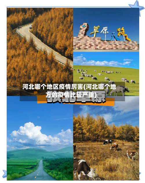 河北哪个地区疫情厉害(河北哪个地方的疫情比较严重)