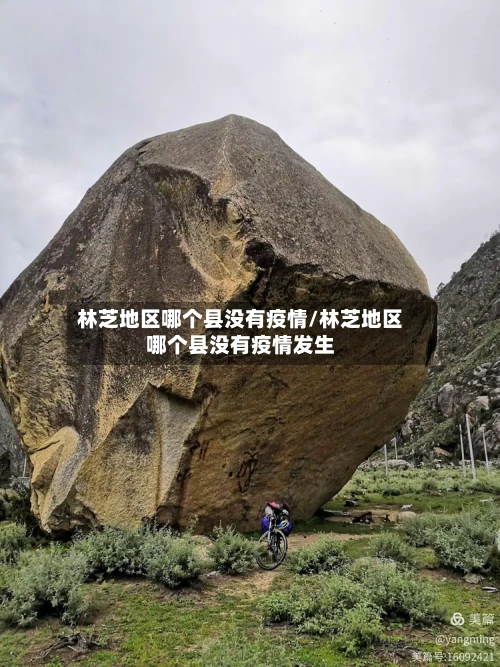 林芝地区哪个县没有疫情/林芝地区哪个县没有疫情发生