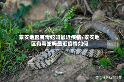 泰安地区有毒蛇吗最近疫情/泰安地区有毒蛇吗最近疫情如何