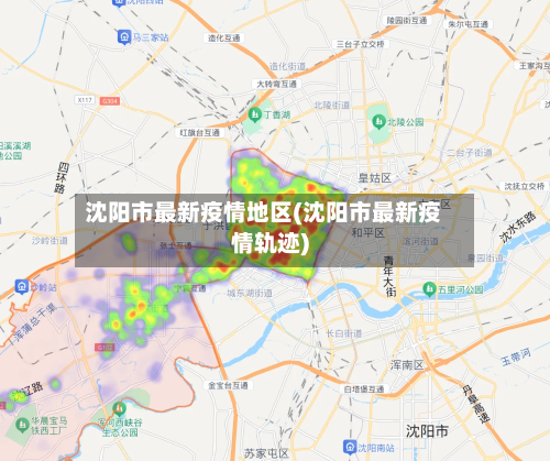 沈阳市最新疫情地区(沈阳市最新疫情轨迹)