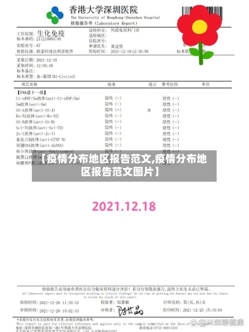 【疫情分布地区报告范文,疫情分布地区报告范文图片】