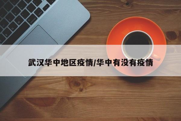 武汉华中地区疫情/华中有没有疫情