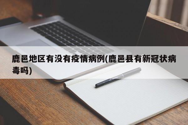 鹿邑地区有没有疫情病例(鹿邑县有新冠状病毒吗)